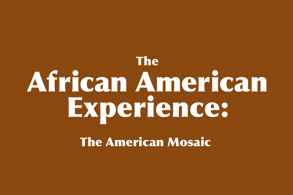 The African American Experience: the American Mosaic